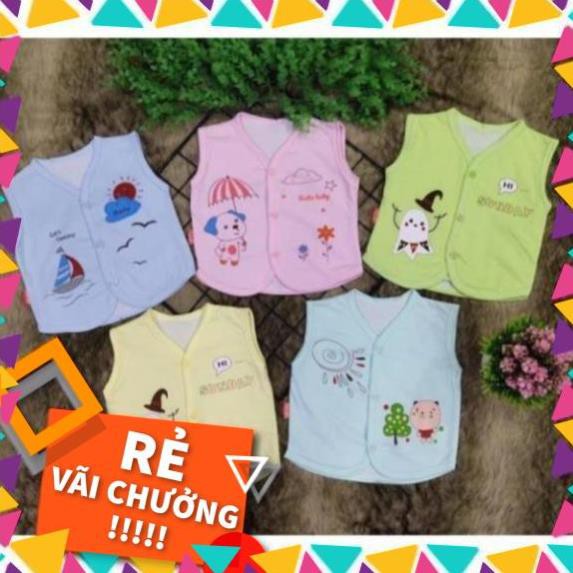 Combo 10 áo ghi lê cotton, gồm 5 size ( sỉ)