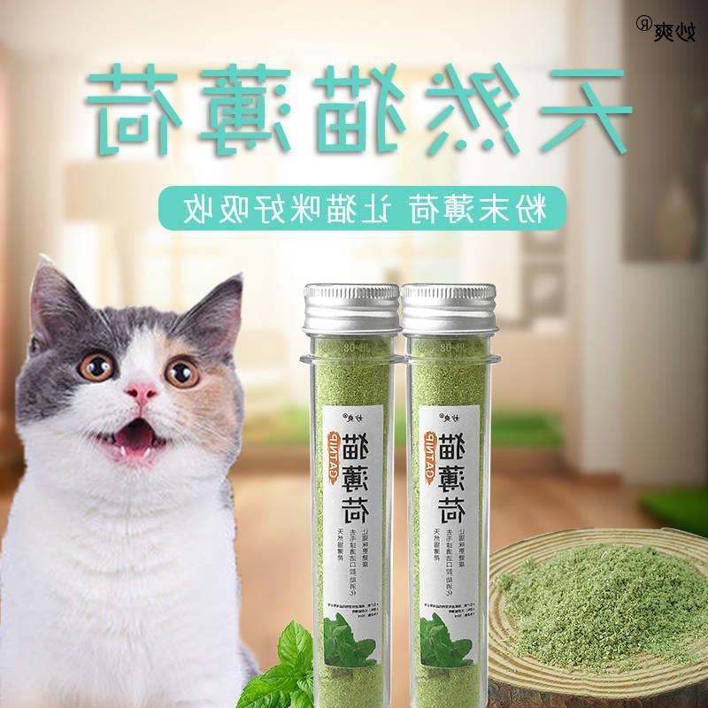 Cỏ catnip, cỏ bạc hà cho mèo (40gr)