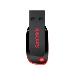 Áo Thun In Hình Sandisk Cruzer Blade 8gb Cz50 Cá Tính