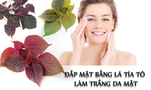 Bột Tía Tô Đắp Mặt Giảm Nám + Dưỡng Trắng