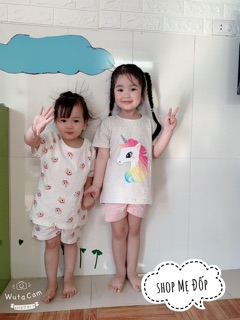 Bộ ngựa Pony Hm