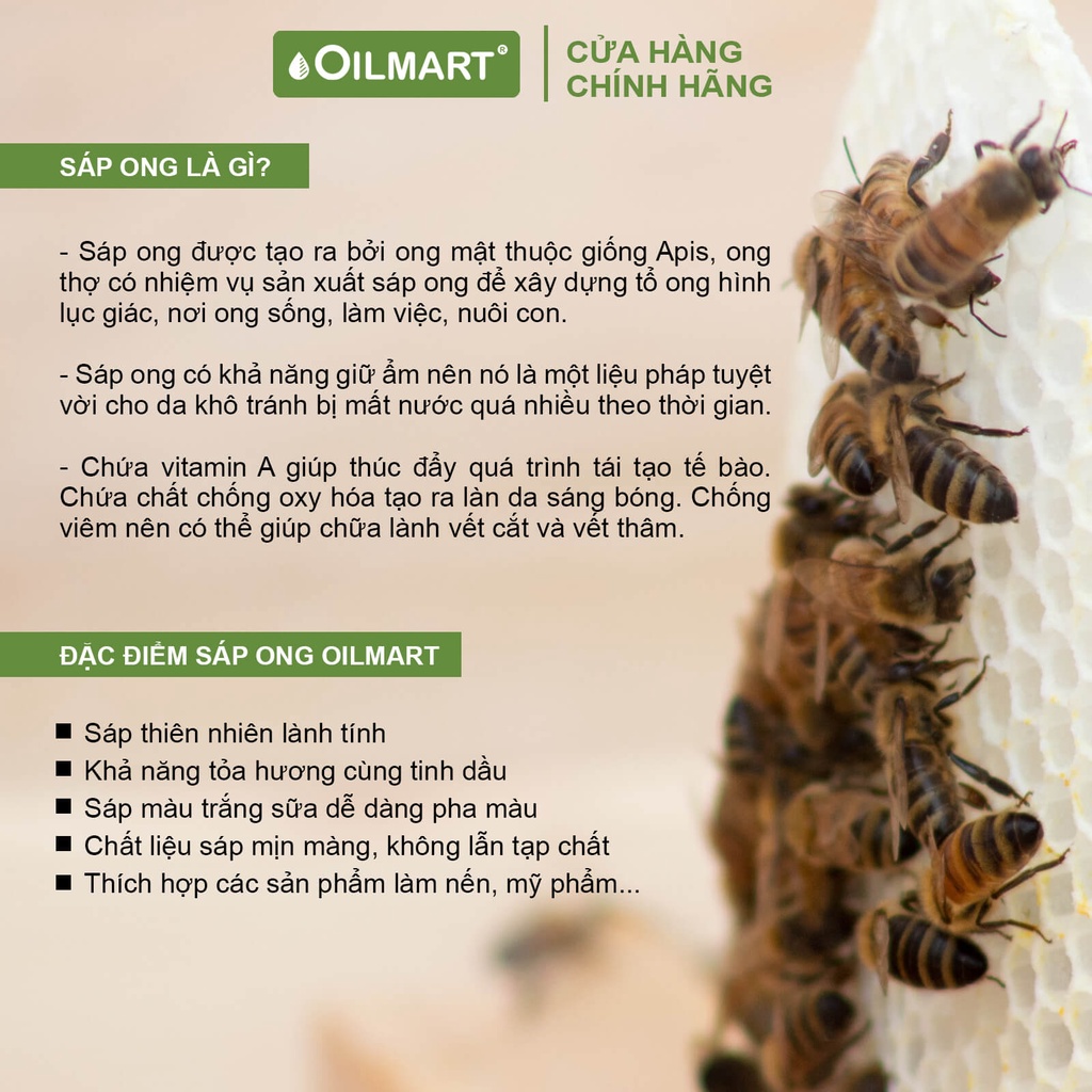 Sáp Ong Tự Nhiên Oilmart Natural Beeswax dạng viên, màu trắng ngà làm nến, son, kem dưỡng.