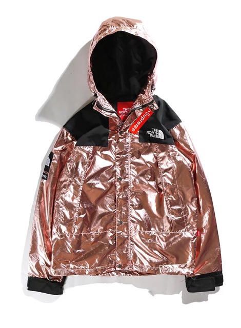 Jacket Supreme x The North Face Metallic Moutain Parka ss18