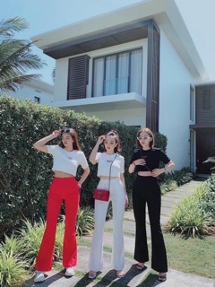 SÉT CRAZY ÁO CROPTOP QUẦN ỐNG LOE