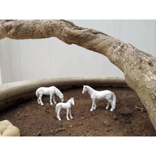 Ngựa Mini Tiểu Cảnh