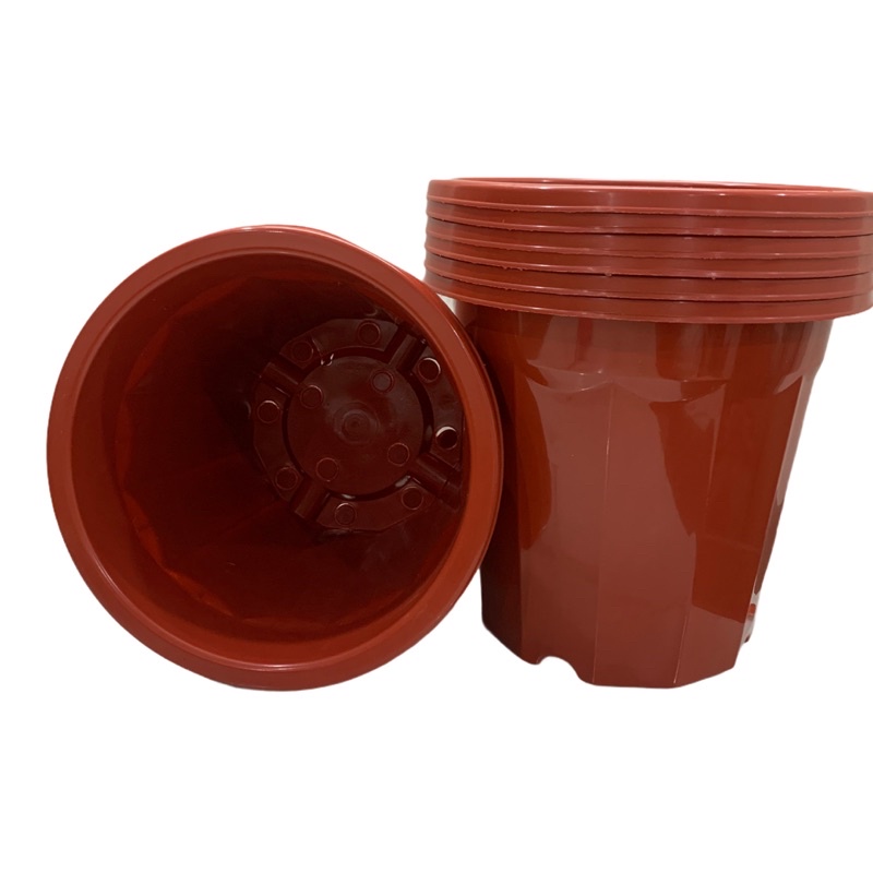 Chậu nhựa trồng ươm cây E230  màu nâu hàng loại 1 dày đẹp
