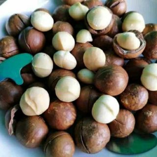 Mắc ca sấy chín nứt vỏ size to 1kg