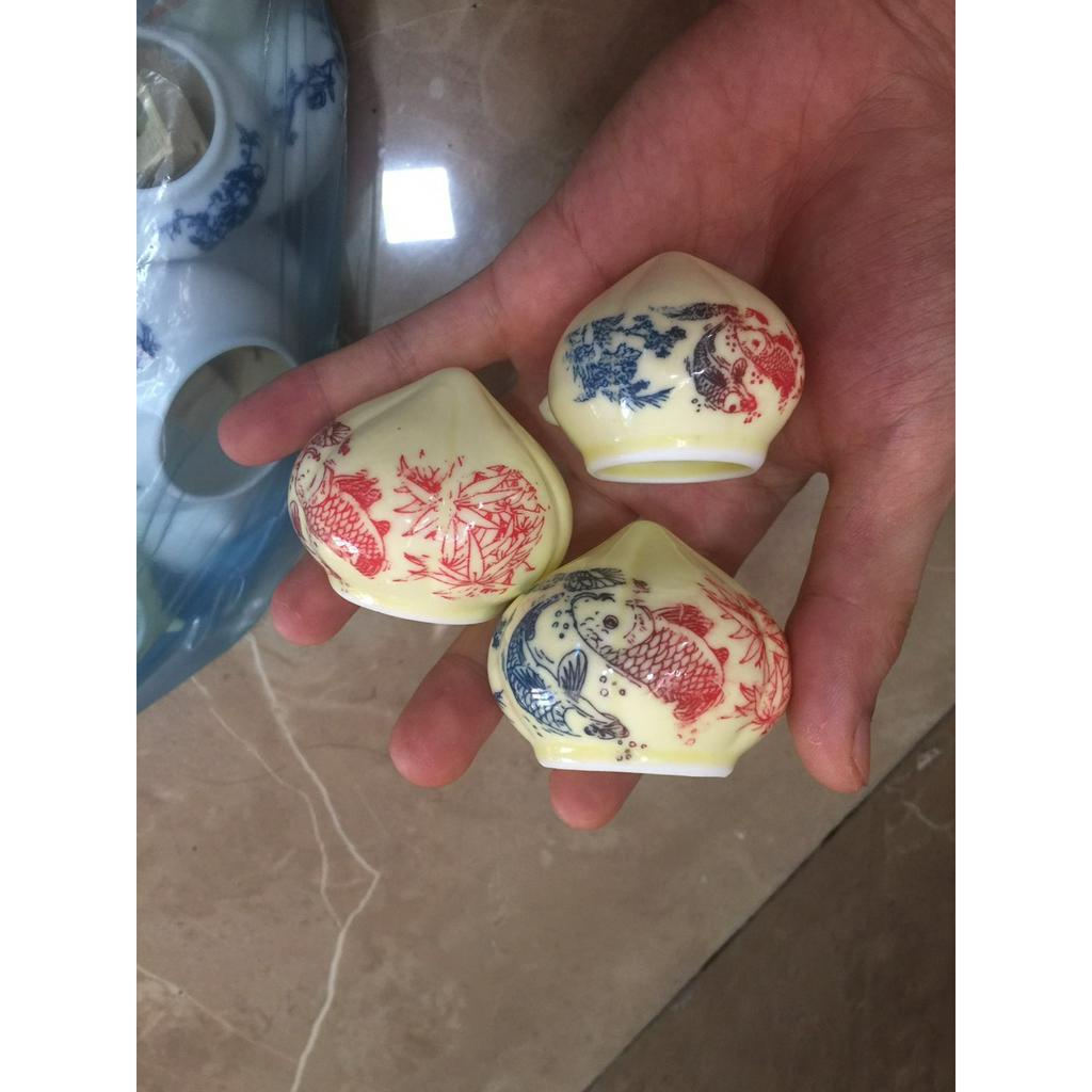 CÓNG SỨ CHIM CHÀO MÀO, Đã kèm tai, rẻ, đẹp