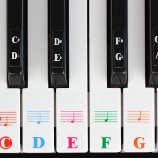 Nhãn dán bàn phím đàn Piano trong suốt 25 / 49 / 54 / 61 / 88 màu