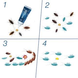 ( SLN 8 ) Bayer Maxforce Forte thuốc diệt gián dạng bã 20gr