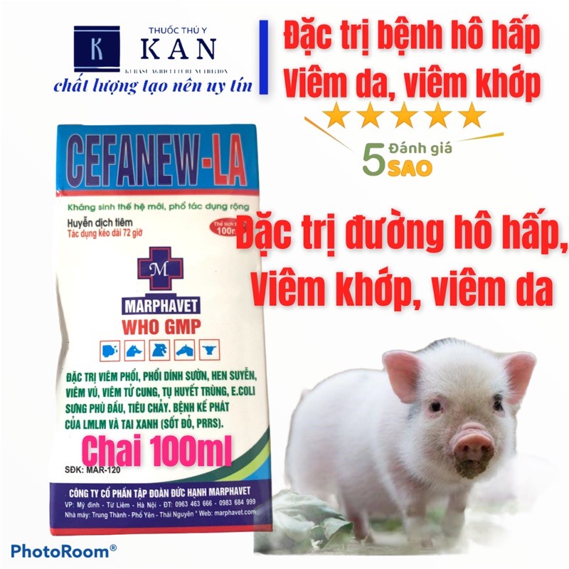 Khống chế và hồi phục các vấn đề viêm phổi, phổi dính sườn, hen suyễn, viêm vú, viêm tử cung, tụ huyết trùng trên lợn.