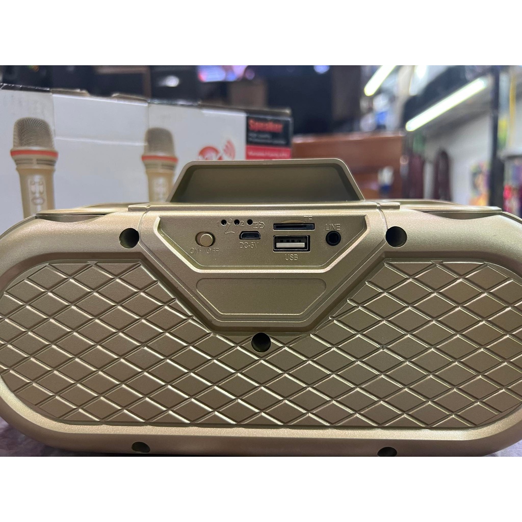 Loa Bluetooth Karaoke SDRD SD-303: Thiết kế 2 micro không đây đi kèm