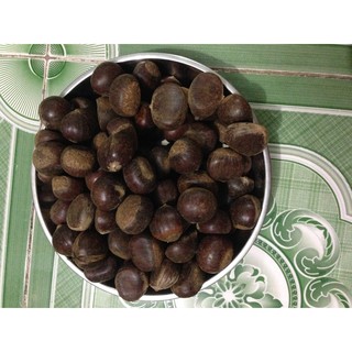 HẠT DẺ CAO BẰNG