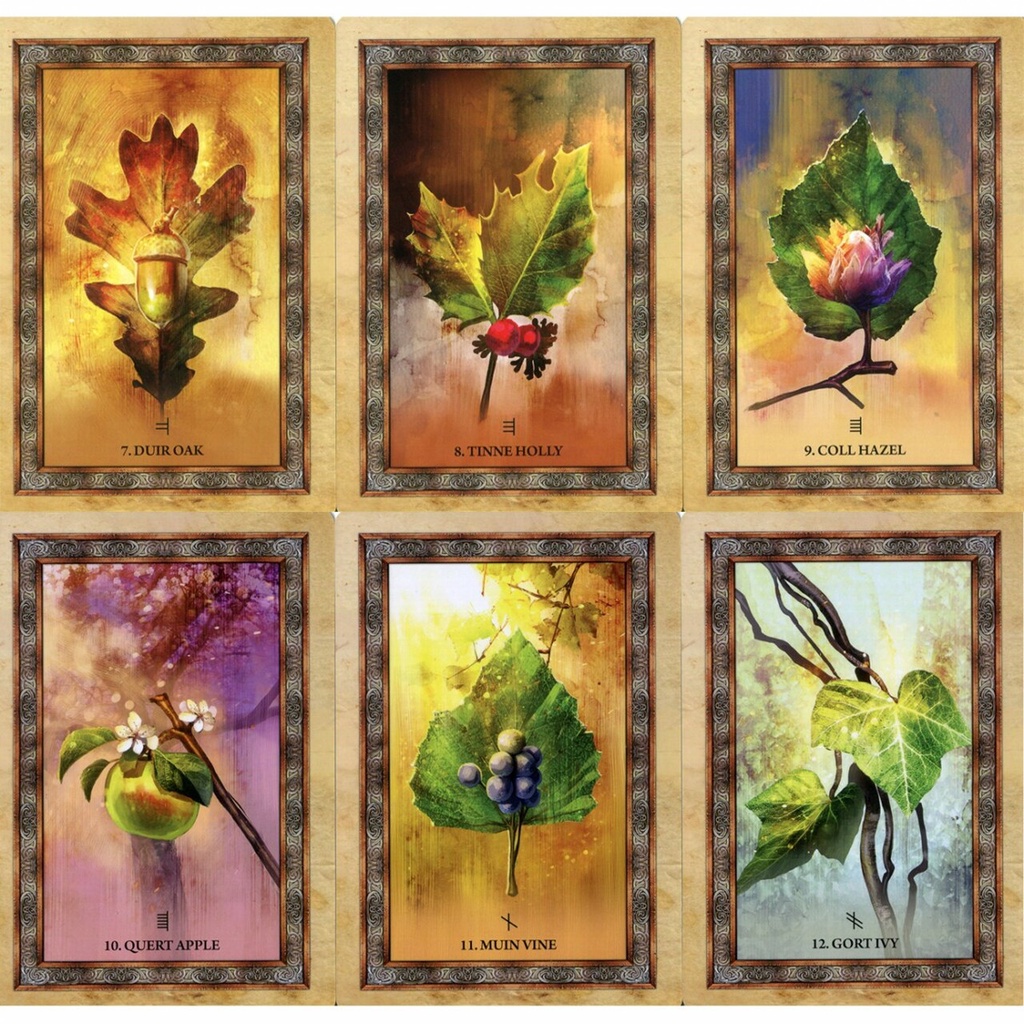 Bộ bài Celtic Tree Oracle C2