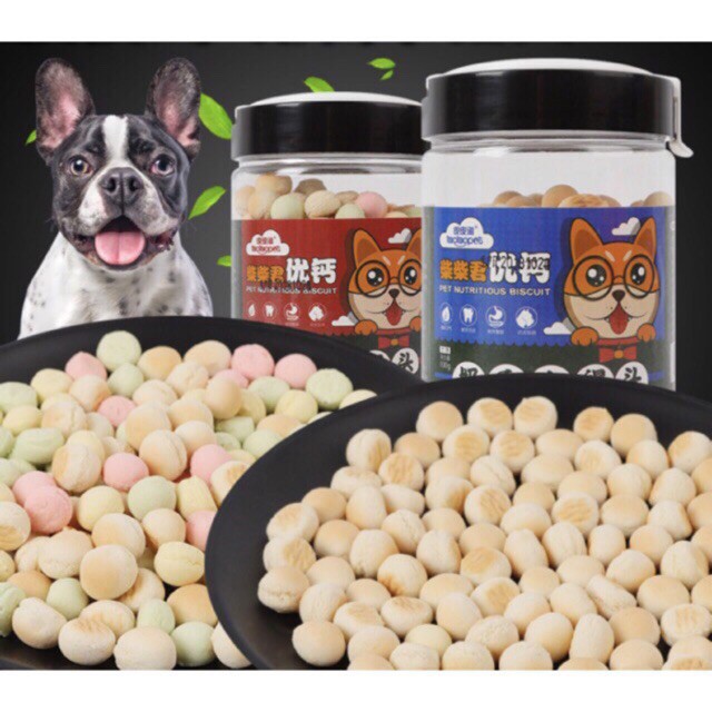 combo bánh thú cưng cho bạn pool