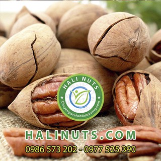 Hạt hồ đào chuẩn Mỹ tự nhiên siêu dinh dưỡng Hali Nuts 500gr