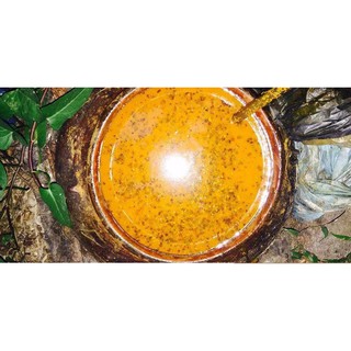 NGHỆ GỪNG HẠ THỔ