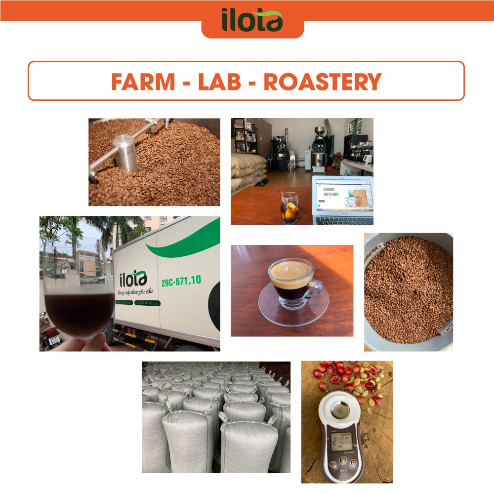 Cà phê Nguyên hạt ILOTA 1  arabica robusta coffee rang xay nguyên chất cafe máy espesso pha phin coldbrew gói 500gr | BigBuy360 - bigbuy360.vn