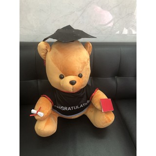 Gấu cử nhân siêu bự 60cm