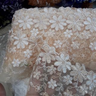 Ren phoi cao cap