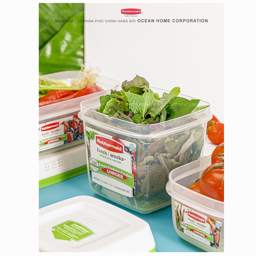 Hộp bảo quản rau củ quả RUBBERMAID có nắp màu xanh bằng nhựa nguyên sinh cao cấp loại 1,5L - Chính Hãng từ Mỹ