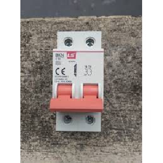 APTOMAT 2 Pha MCB LS 2P BKH 2P 80-100A 10kA
