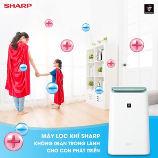 Máy lọc không khí Sharp DW-E16FA