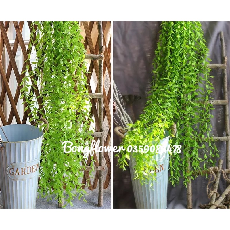 Dây cúc tần ấn độ giả dài 100cm 5 nhánh hàng nhập khẩu