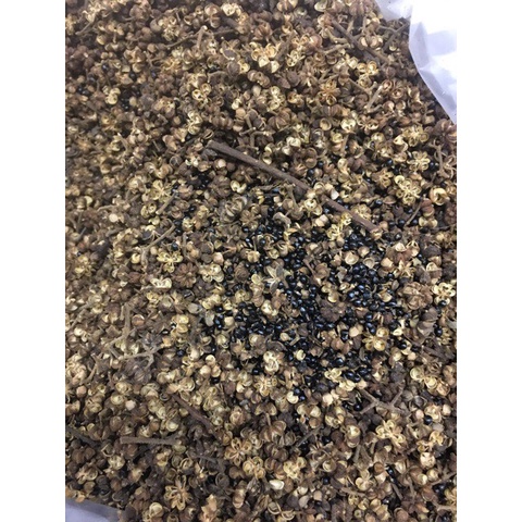 Hạt Mắc Khén Rừng - Hạt Mắc Khén Tây Bắc Loại 1