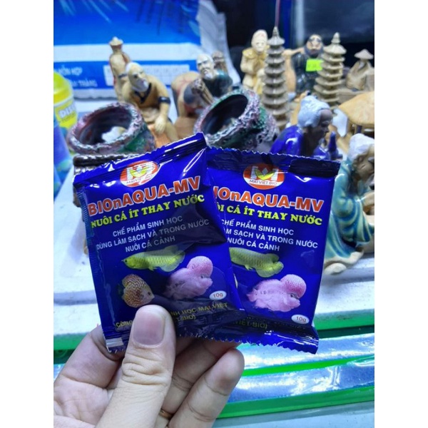 Men vi sinh Mai Việt