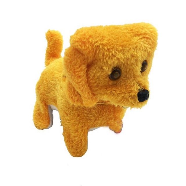Chó vàng chạy pin