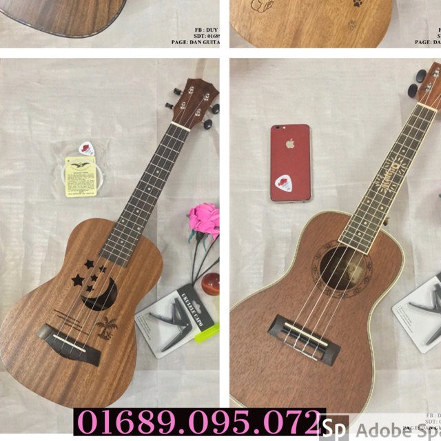 ( HOT ) ĐÀN UKULELE CONCERT HỒNG ĐÀO TUYỂN CHỌN