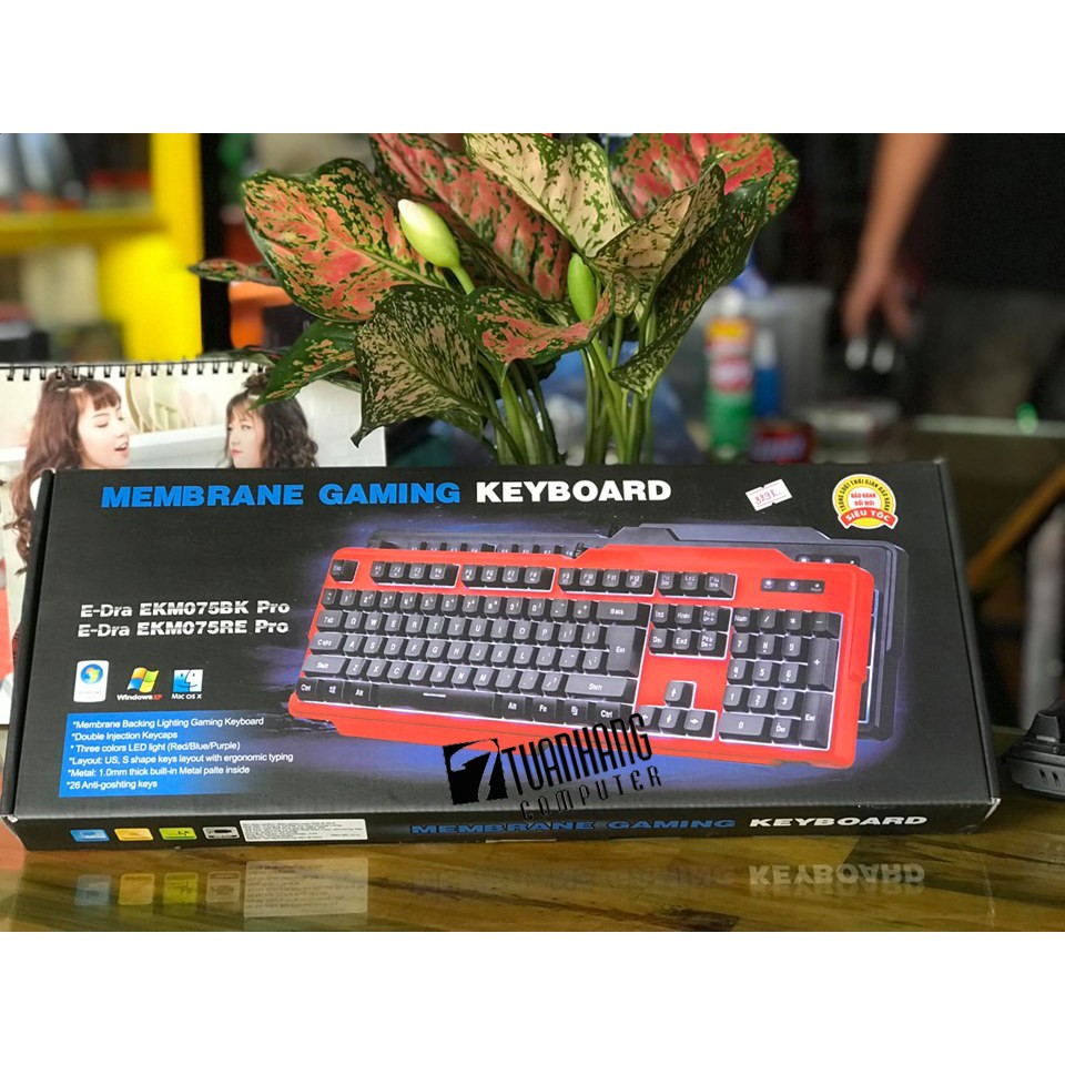 Bàn phím E-DRA - EKM075 PRO led- Gaming