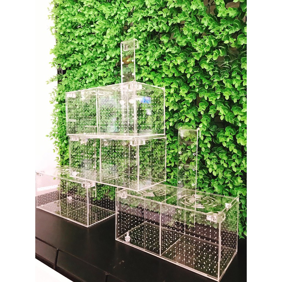 Box tép 1 ngăn / lồng dưỡng tép 1 ngăn / lồng dưỡng cá acrylic cao cấp