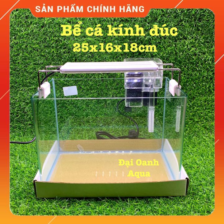 Bể Cá Kính Đúc Mini 25cm Kèm Đèn Lọc Để Bàn, Dài 25cm Rộng 16 Cao 18cm - Bể Cá Cảnh Mini
