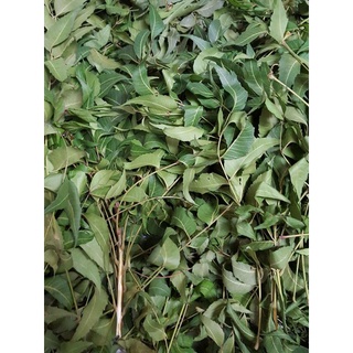 LÁ NEEM GỘI ĐẦU. 100GR