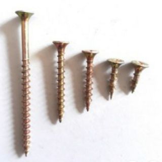 1KG VÍT GỖ VÀNG RĂNG THƯA