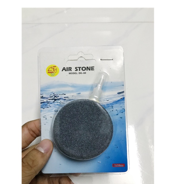 SỦI DĨA OXY 6CM HỒ CÁ NON BỘ