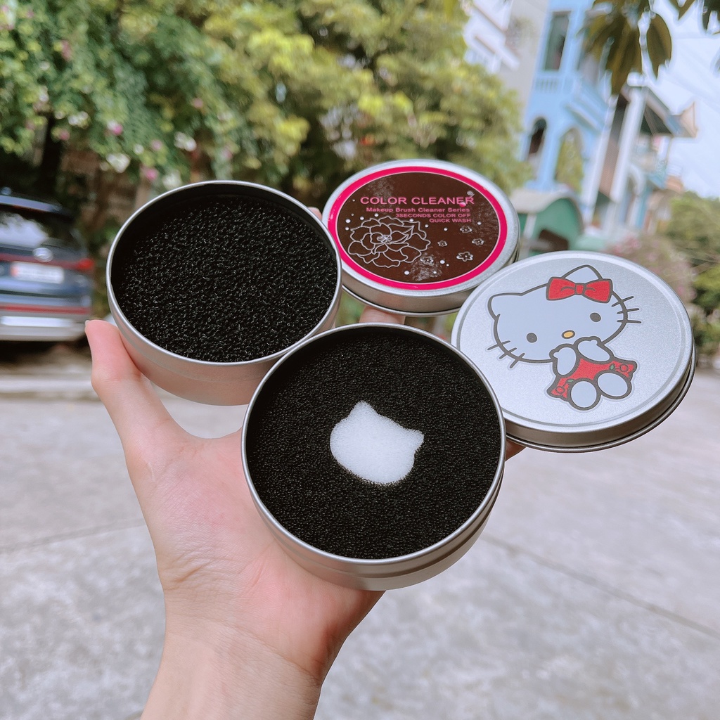 Hộp lau làm sạch cọ khô