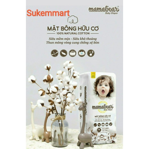 Bỉm quần mamabear nội địa trung cao cấp đủ size M/L/XL/XXL/3XL 100 miếng
