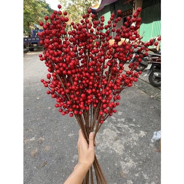 Combo 2 - 10 Cành Đào Đông Đỏ Siêu Đẹp