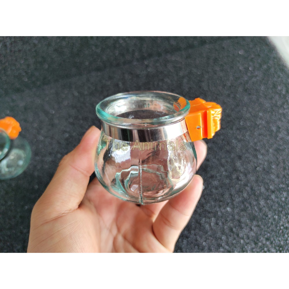 Cóng uống nước cho chim chào mào, chim khướu (thủy tinh tai cam)