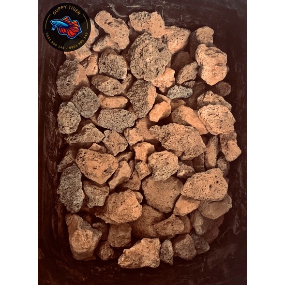 SỨ NHẪN TRẮNG , SAN HÔ , LÔNG VŨ , NHAM THẠCH ( 500g - 1kg ) CHO HỒ CÁ CẢNH