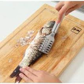 Dụng cụ đánh vẩy cá đa năng