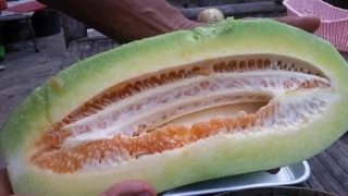 120 Hạt Giống Dưa Thái Thơm
