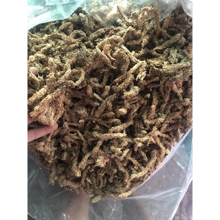 [100g] 1 túi dớn chile nhập khẩu