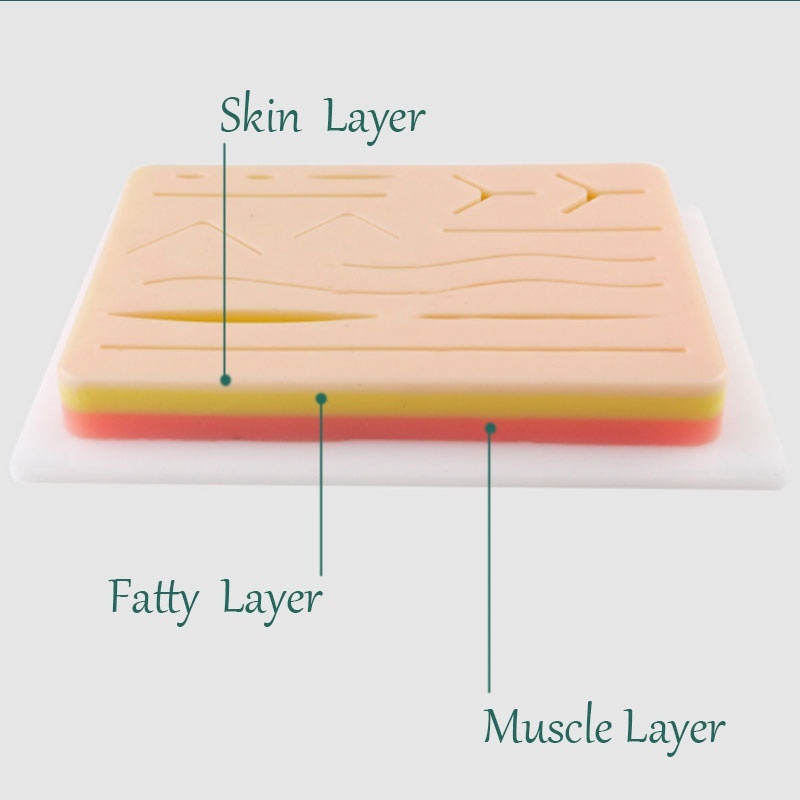 Khuôn da giả chuyên dụng thực tập khâu chỉ cho sinh viên y khoa