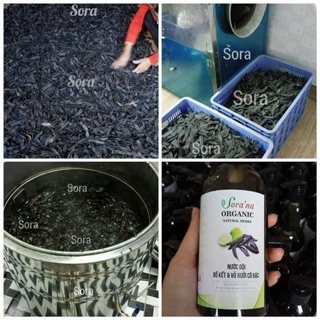 Nước gội bồ kết vỏ bưởi cô đặc 330ml