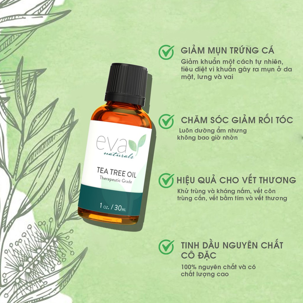 Tinh Dầu Trà Giảm Mụn, Ngăn Ngừa Vi Khuẩn Eva Naturals Tea Tree Oil 30ml | BigBuy360 - bigbuy360.vn