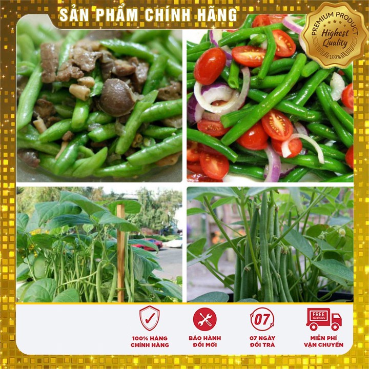 Hạt Giống Đậu Cove Lùn Ngon dễ trồng nhanh thu hoạch ( gói 50 gram )